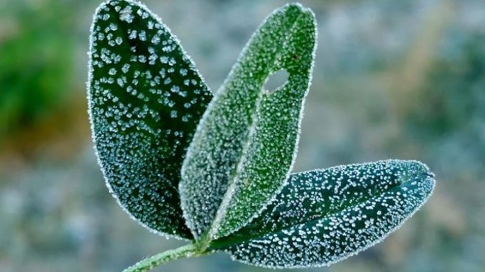Doğu Anadolu'da 6 ilde sıcaklık sıfırın altına düştü