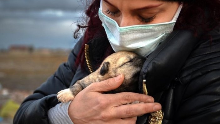 9 yavru köpek yakılarak telef edildi