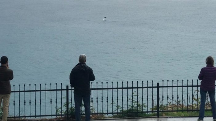 Antalya sahilinde görenler telefona sarıldı