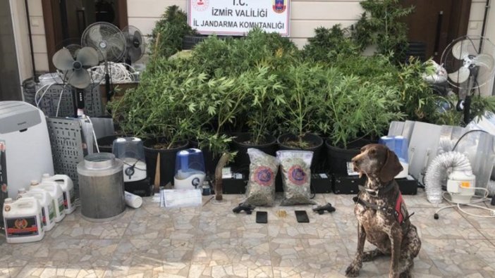İzmir'de düzenlenen uyuşturucu operasyonunda 4 kişi yakalandı