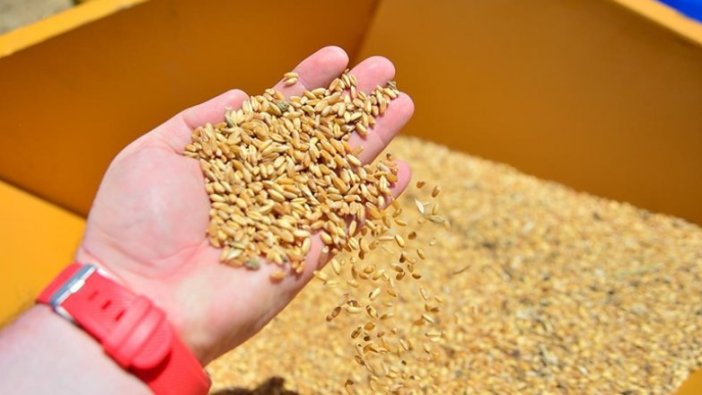 Buğday, arpa ve mısır ithalatında 30 Nisan 2021'e kadar gümrük vergisi uygulanmayacak