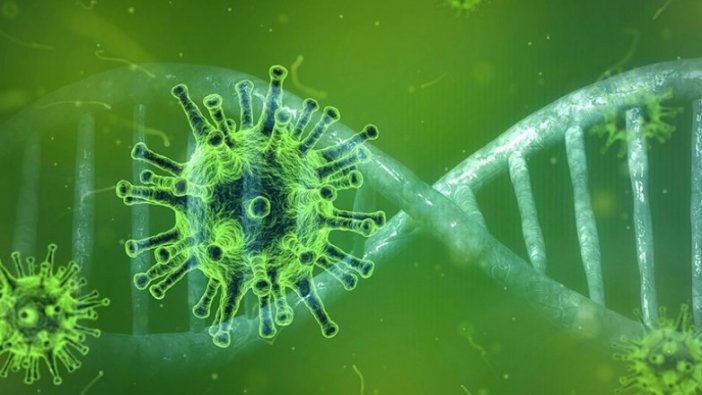 Belçikalı virolog: Virüsün türlerinin ortaya çıkması normal