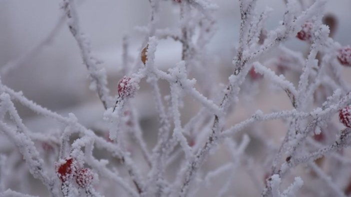 Doğu Anadolu'da gece en düşük sıcaklık Ağrı'da ölçüldü