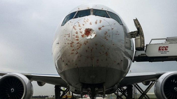 THY kargo uçağı Atatürk Havalimanı'na zorunlu iniş yaptı