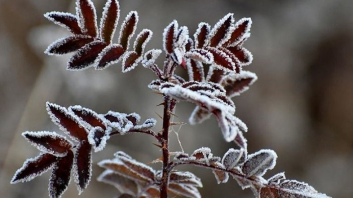 Van, Bitlis, Muş ve Hakkari için buzlanma ve don uyarısı