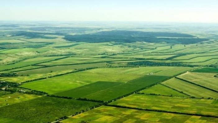 Tarla icradan satılığa çıkarıldı