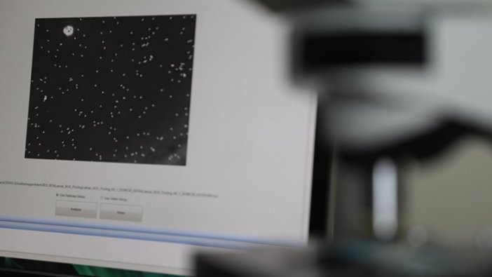 Nesli yok olma tehlikesi altındaki balıkların üretimi sağlanacak