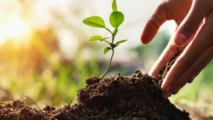 Tarım ve Orman Bakanlığı Ankara için duyurdu