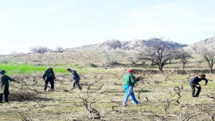 İcradan satılık susuz bağ