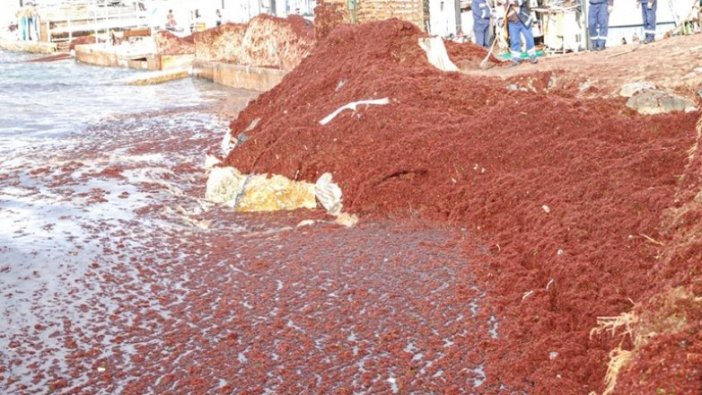 Caddebostan Sahili kırmızıya büründü