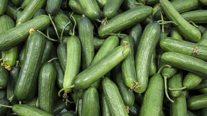 Ocakta en çok salatalığın fiyatı arttı