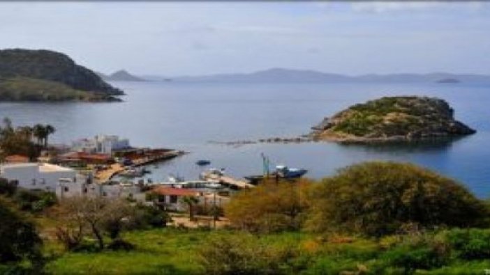 4.970 metrekare tarla mahkemeden satılık