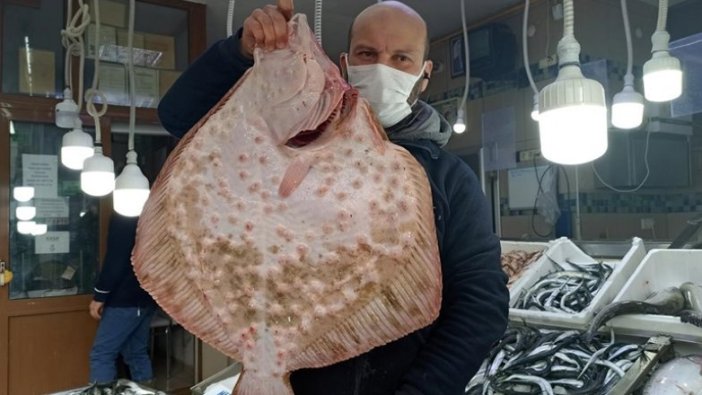 Sinop'ta ağa takıldı! Kilosu 200 lira