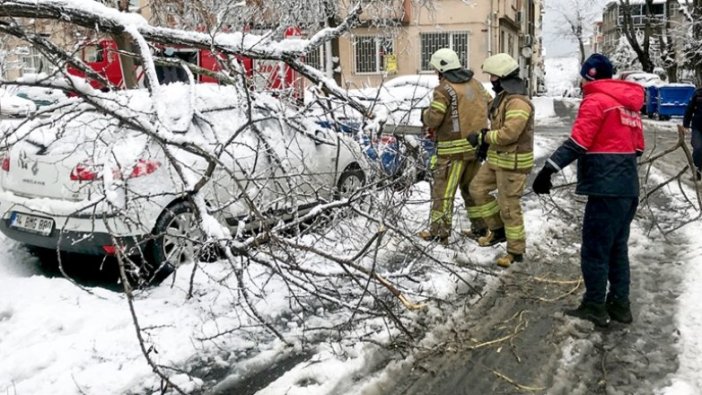 İstanbul'da kar yağışı ve fırtınada 517 ağaç ve direk devrildi