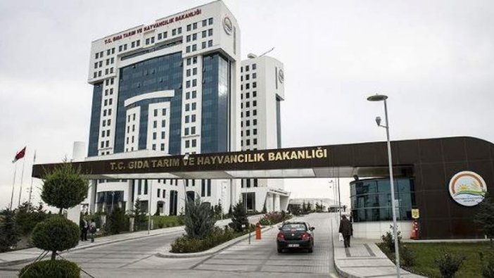 Altyapı ve elektrik dağıtım şebekesi yaptırılacaktır