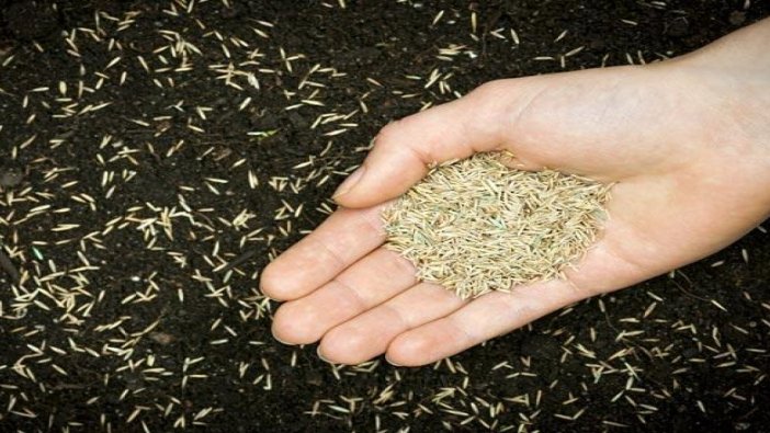 Torf çim tohumu gübre ve yabani ot ilacı
