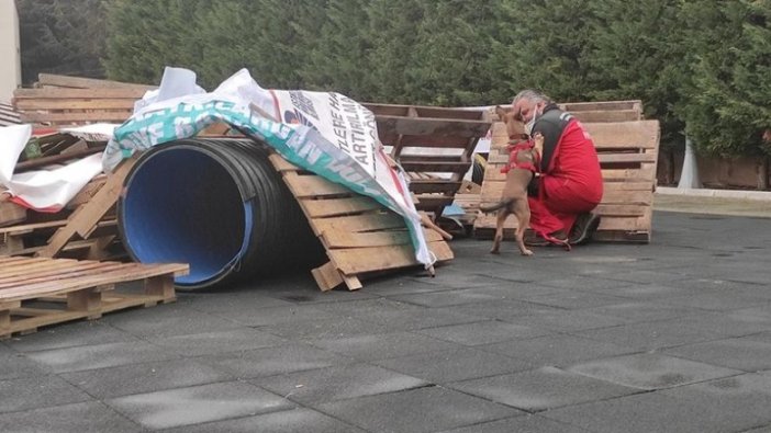 Bahçelievler’de arama kurtarma köpekleriyle deprem tatbikatı yapıldı