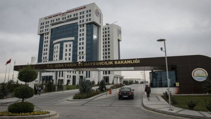 Araç kiralama hizmeti alınacaktır