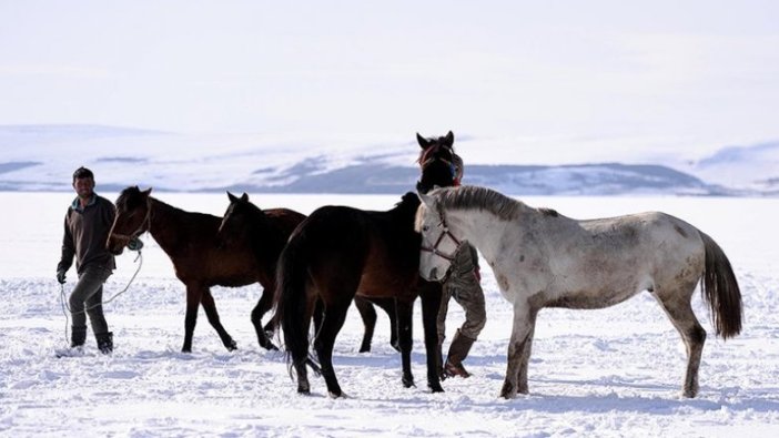 Doğu Anadolu yeniden beyaza büründü
