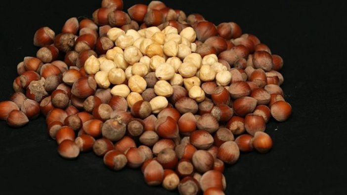 Trabzon'dan 2021'in ilk iki ayında 40 ülkeye fındık ihraç edildi