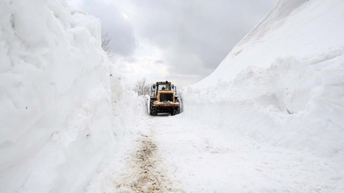 Kar nedeniyle Van, Muş ve Bitlis'te yollar kapandı