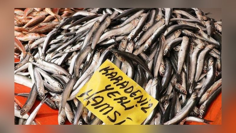 Karadeniz'de en kötü sezon