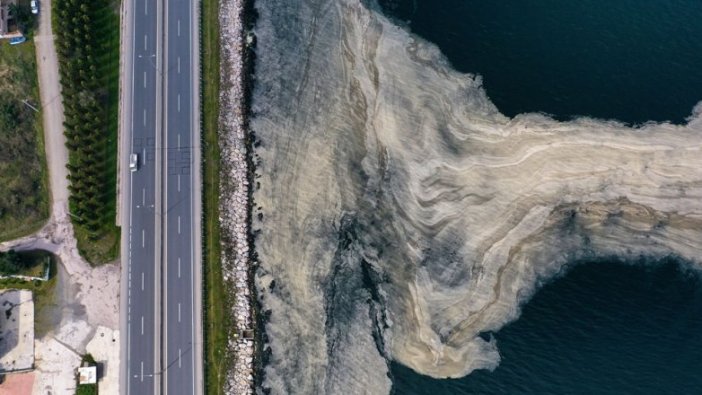 İzmit Körfezi'nde deniz salyası beyaz tabaka oluşturdu