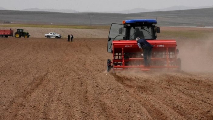 Bozkırın toprakları nohut tohumlarıyla buluştu