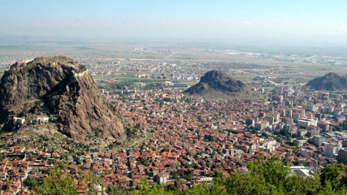 İhaleyle satışa çıkarıldı