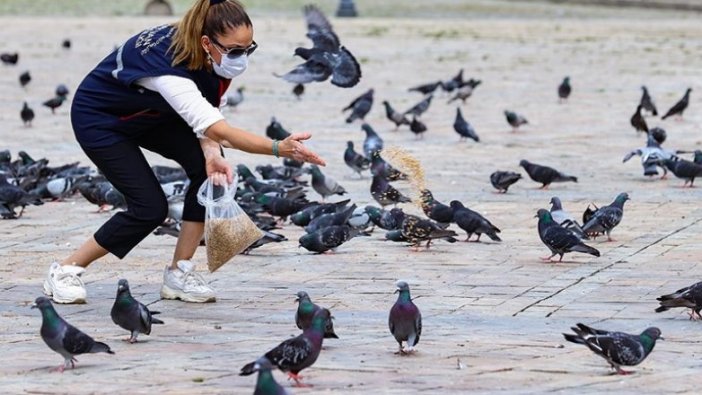 İzmir'de salgın sürecinde sokak hayvanlarına yaklaşık 110 ton mama bırakıldı