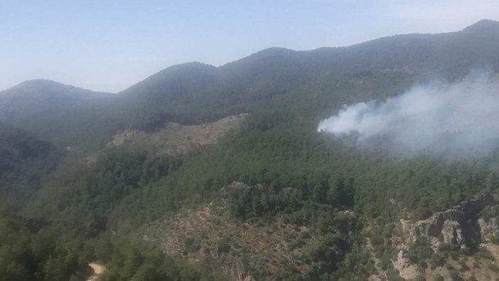 Muğla'nın Ortaca ilçesinde orman yangını başladı