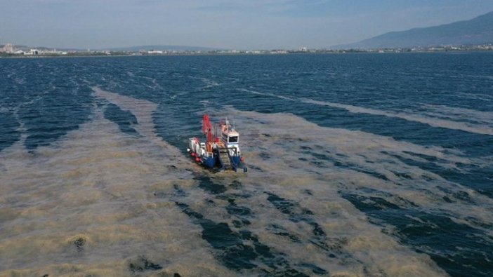 İzmit Körfezi'nden 100 ton deniz salyası temizlendi