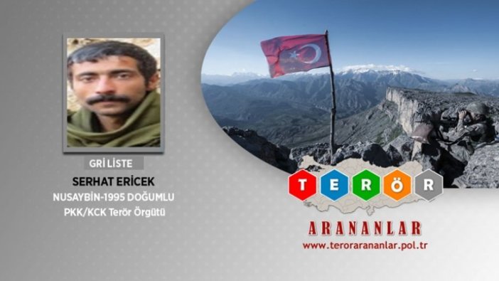 Mardin'de etkisiz hale getirilen teröristlerden birinin gri kategoride arandığı belirlendi