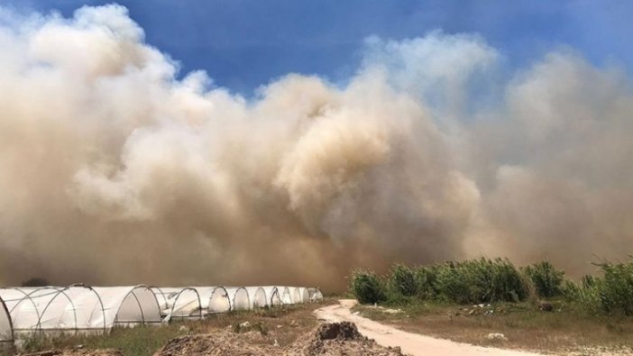 Antalya'da sazlık alanda çıkan yangın kontrol altına alındı