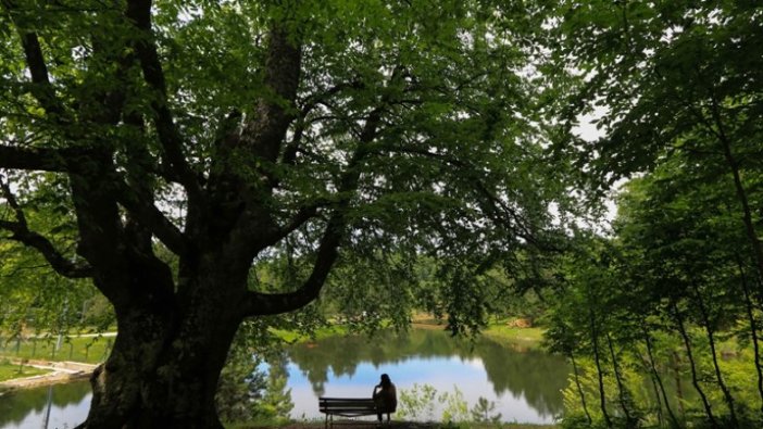 Domaniç Dağlarında ilkbahar güzelliği