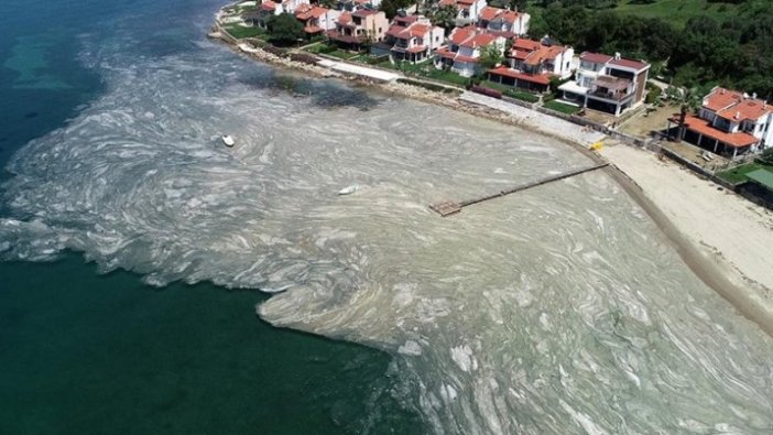 Bakanı Kurum: Müsilaja ilişkin alınacak tedbirlerle ilgili ortak bir çalışma yürütüyoruz