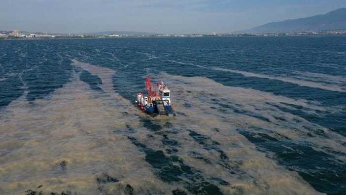 İzmit Körfezi'nden 2 ayda 150 ton deniz salyası toplandı