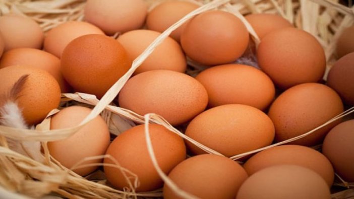 Organik yumurtayı ayırt etme yolları