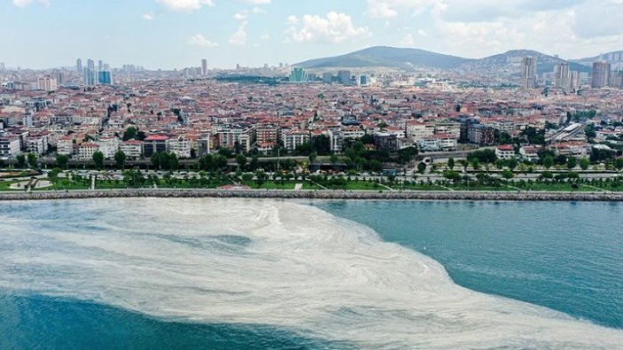 Marmara Denizi'ndeki müsilaj sorununa acil çözüm için bilim insanları YÖK'te toplanacak