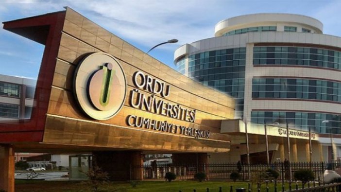 29 Öğretim Üyesi alıyor