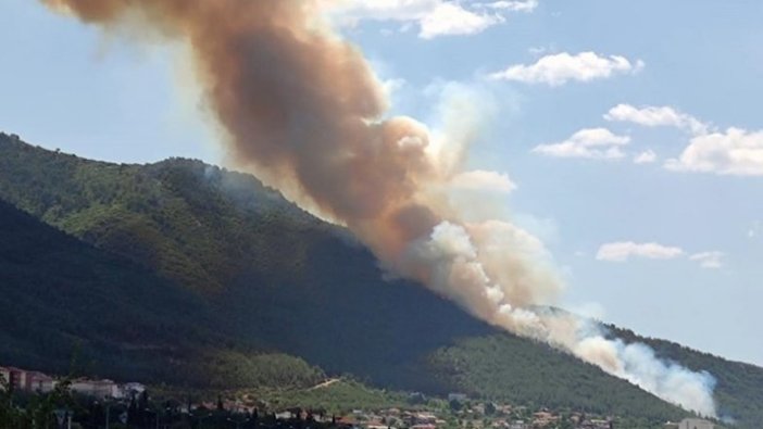 Denizli'de orman yangını çıktı