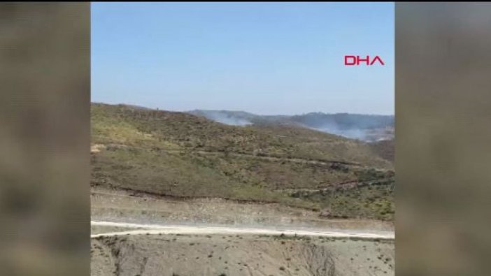 Suriye sınırında orman yangını