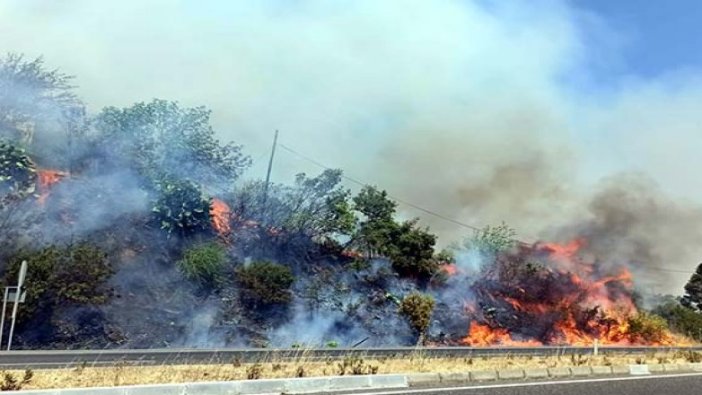 Muğla'da orman yangını