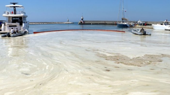 Yalova'da müsilaj temizleme çalışmaları devam ediyor