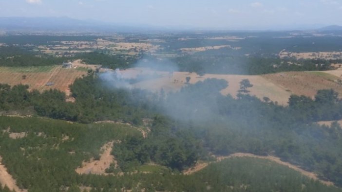 Çanakkale'nin Ezine ilçesindeki ormanlık alanda çıkan yangına müdahale ediliyor