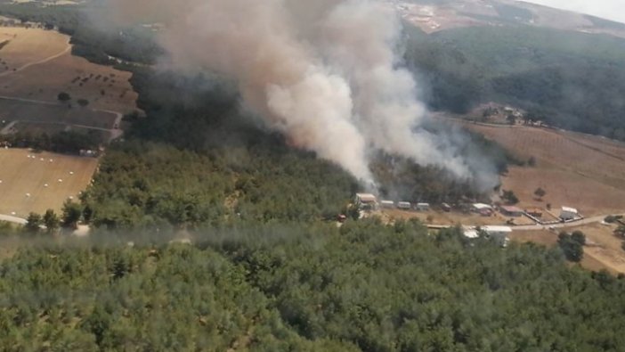 İzmir'in Bornova ilçesinde orman yangını kontrol altına alındı