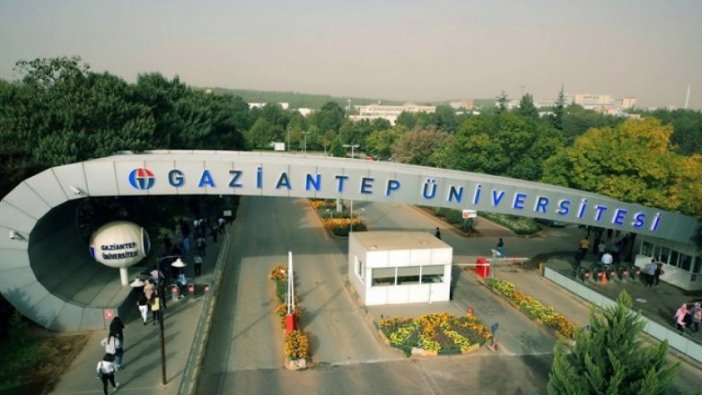 Öğretim Üyesi alım ilanı verdiler