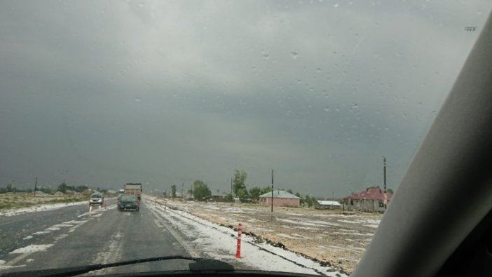 Erciş'te temmuz karı