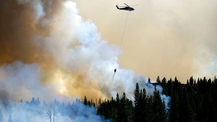 ABD'nin California eyaletinde orman yangınları sürüyor