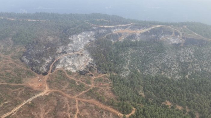 Bilecik'te çıkan orman yangını kontrol altına alındı